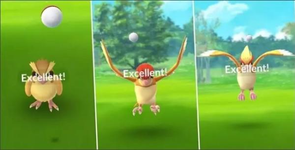 excellent throw in Pokemon Go